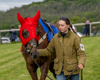 Race 5 - Open Maiden (11 of 114)