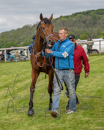 Race 5 - Open Maiden (18 of 114)