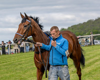 Race 5 - Open Maiden (20 of 114)