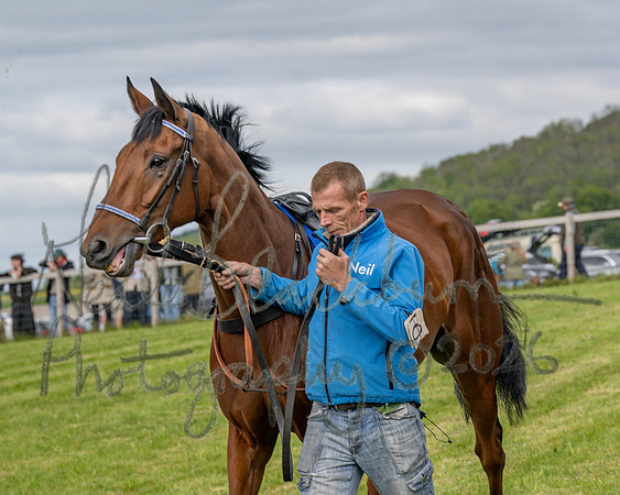 Race 5 - Open Maiden (20 of 114)