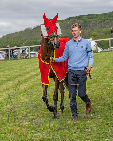 Race 5 - Open Maiden (21 of 114)