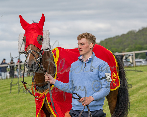 Race 5 - Open Maiden (22 of 114)