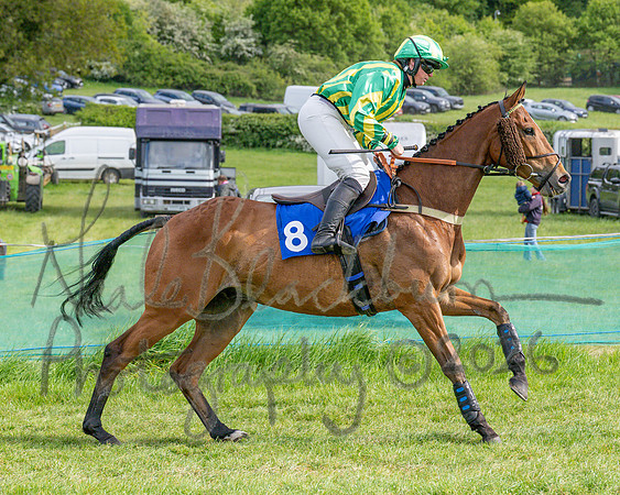 Race 6 - Conditions (level 3) for Novice Riders (54 of 104)