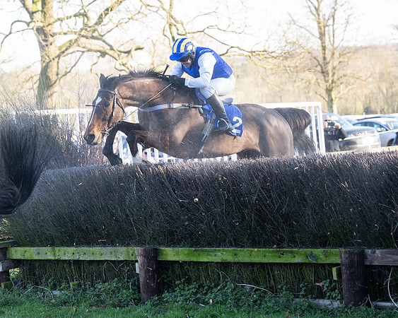 Race 5 - Maiden (67 of 123)