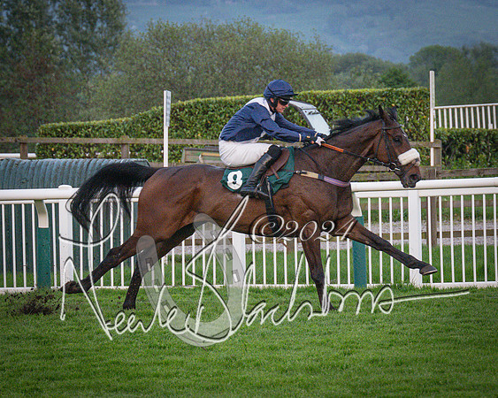 Race - 7 The Royal Gloucester Hussars Open Hunter's steeplechase 2m4f 127y (126 of 210)