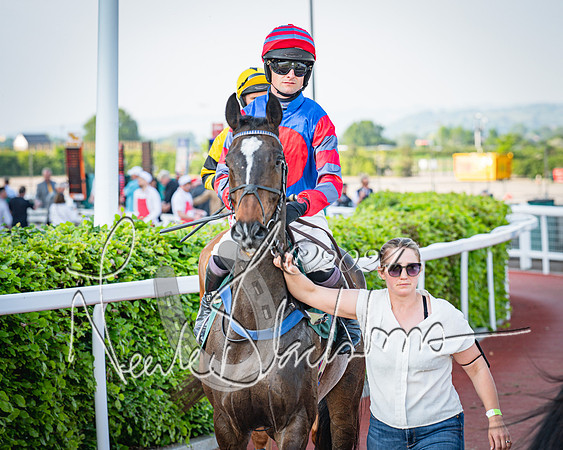 Race 3 - The Junior Jumpers open hunter's steeple chase 3m1f56y (37 of 156)