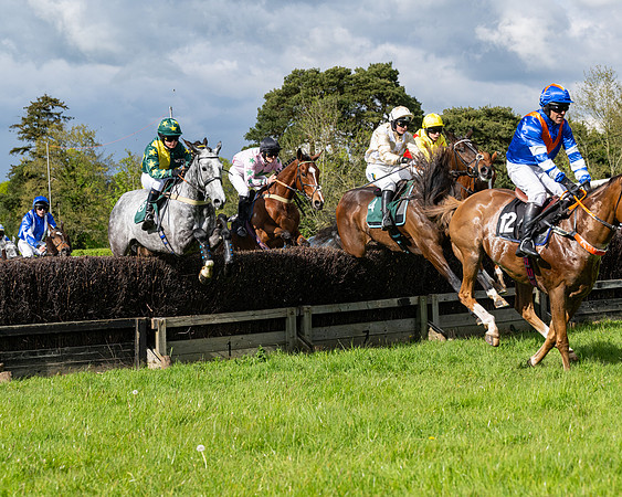 Race 5  - Maiden  (18 of 84)