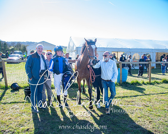 Race 6 - Veteran horse (106 of 109)