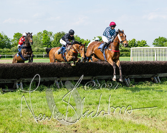 Race 3 - Ladies Open  (74 of 133)
