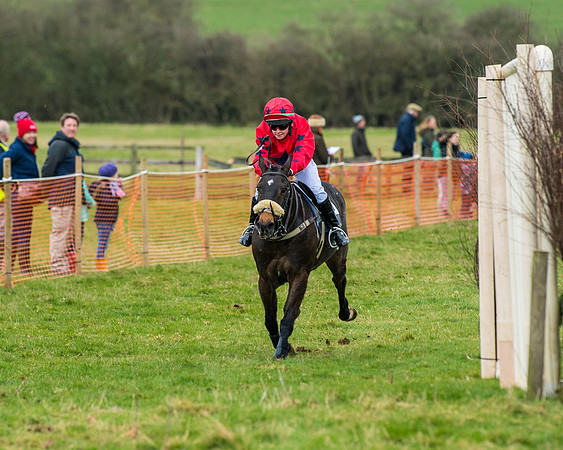 Pony Race 2 (66 of 162)