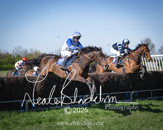 Race 6 - Veteran horse (76 of 109)