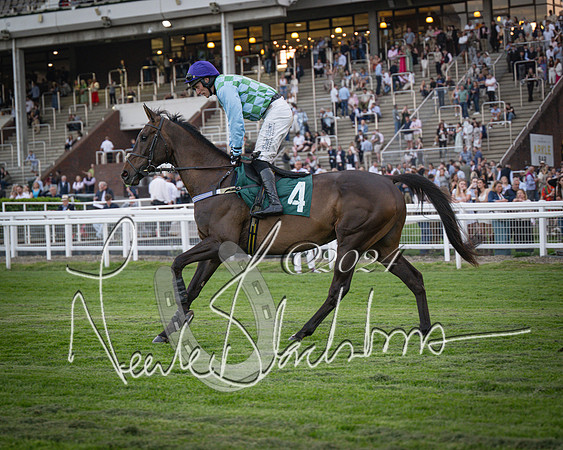 Race - 7 The Royal Gloucester Hussars Open Hunter's steeplechase 2m4f 127y (52 of 210)