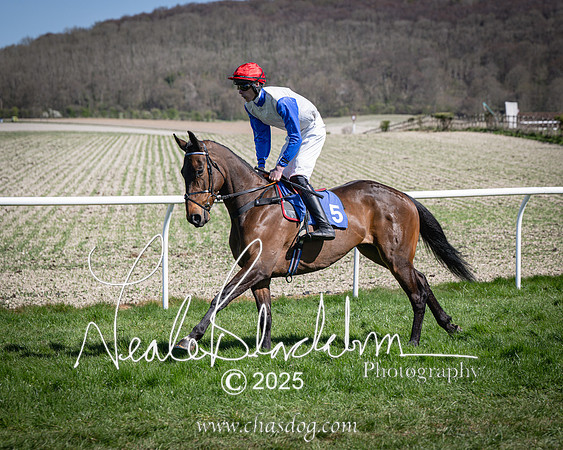 Race 2 - The Maiden (44 of 118)