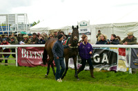 Race 5 - Restriced 12