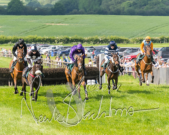 Race 4 - PPORA Novice Riders Final  (214 of 362)