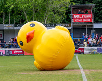 Chicken City 8v7 Egg United (3 of 1246)
