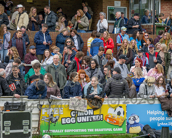 Chicken City 8v7 Egg United (112 of 1246)