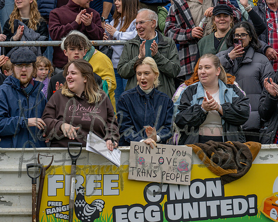 Chicken City 8v7 Egg United (126 of 1246)