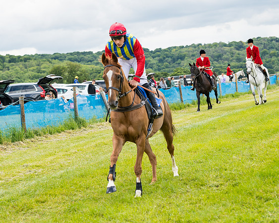 Race 2 - PPORA Novice Riders  (37 of 187)