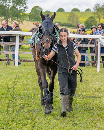 Race 1 - Adjacent Hunts (25 of 131)