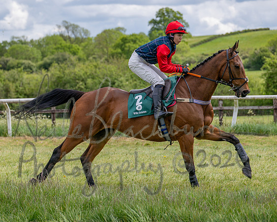 Race 1 - Adjacent Hunts (45 of 131)
