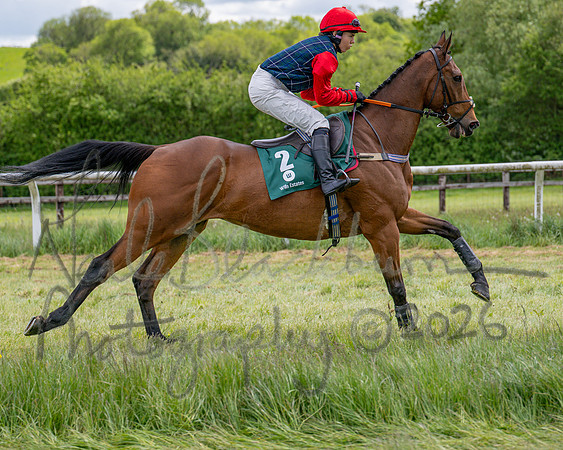 Race 1 - Adjacent Hunts (46 of 131)