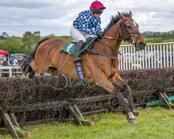 Race 1 - Adjacent Hunts (53 of 131)