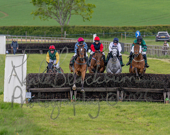 Race 1 - Adjacent Hunts (59 of 131)