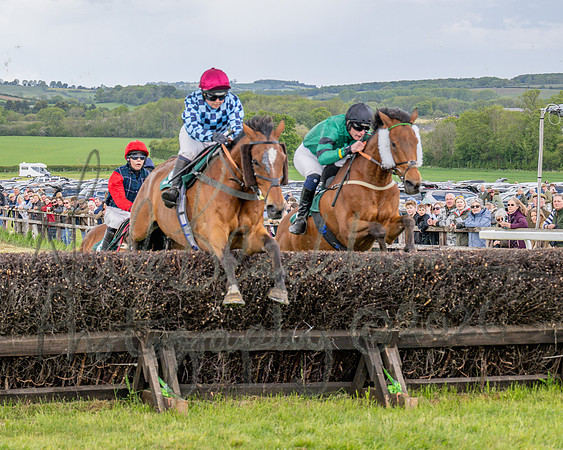 Race 1 - Adjacent Hunts (64 of 131)