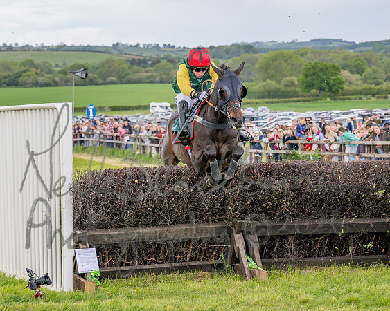 Race 1 - Adjacent Hunts (69 of 131)