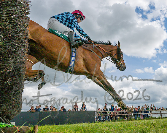 Race 1 - Adjacent Hunts (73 of 131)