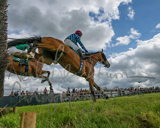 Race 1 - Adjacent Hunts (74 of 131)