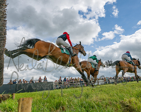 Race 1 - Adjacent Hunts (75 of 131)