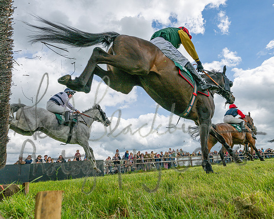 Race 1 - Adjacent Hunts (76 of 131)