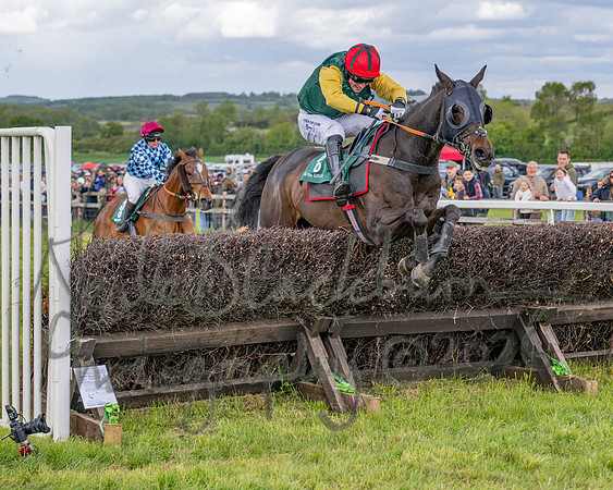 Race 1 - Adjacent Hunts (83 of 131)