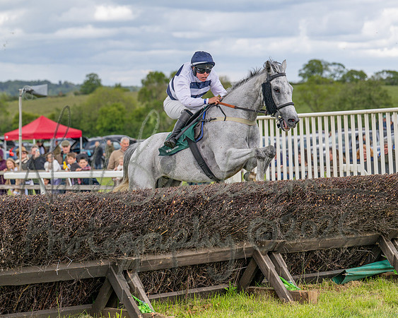 Race 1 - Adjacent Hunts (96 of 131)