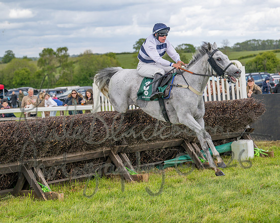Race 1 - Adjacent Hunts (99 of 131)