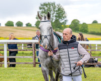 Race 2 - Maiden (4 of 118)