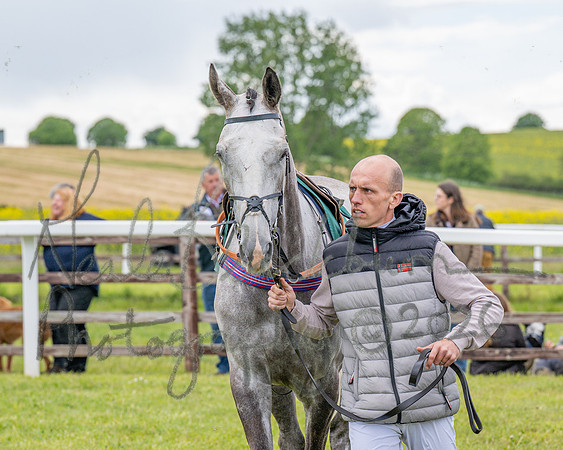 Race 2 - Maiden (4 of 118)