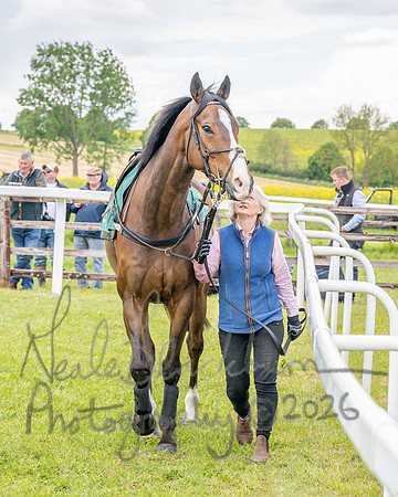 Race 2 - Maiden (6 of 118)