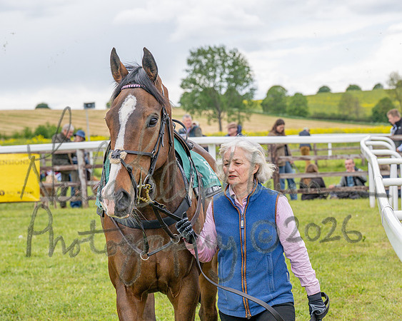 Race 2 - Maiden (8 of 118)