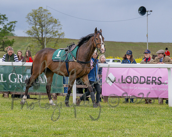 Race 2 - Maiden (9 of 118)