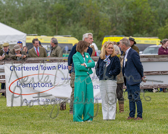 Race 2 - Maiden (11 of 118)