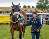Race 2 - Maiden (13 of 118)