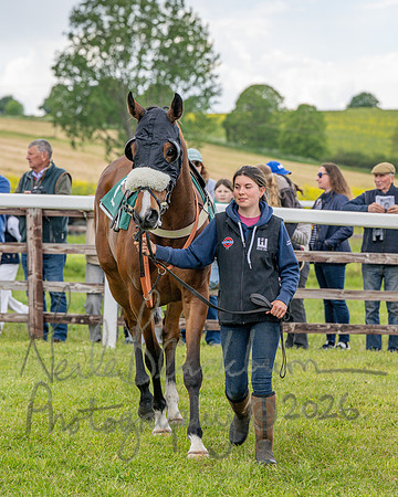 Race 2 - Maiden (12 of 118)