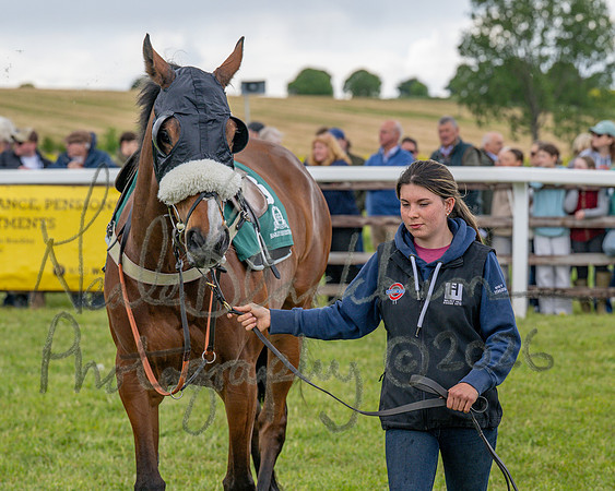 Race 2 - Maiden (14 of 118)