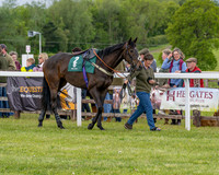 Race 2 - Maiden (15 of 118)