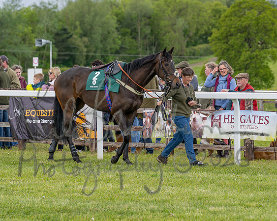 Race 2 - Maiden (15 of 118)