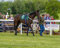 Race 2 - Maiden (16 of 118)