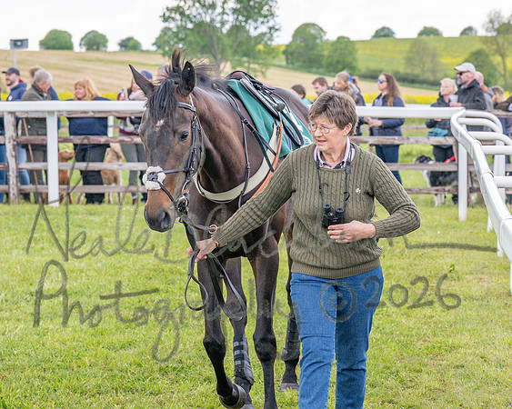 Race 2 - Maiden (18 of 118)